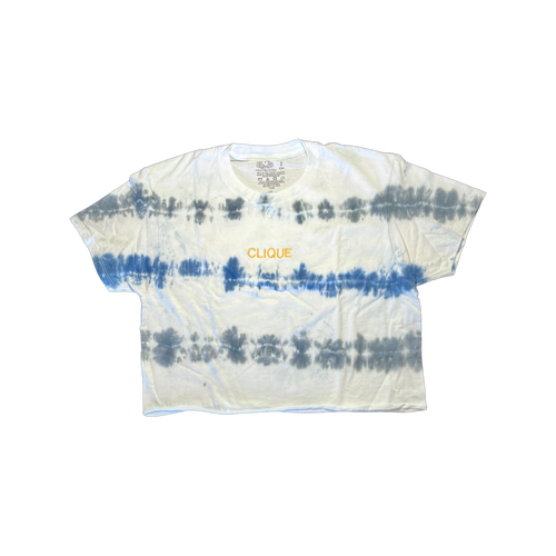 Tie Dye Worldwide Crop T-Shirt