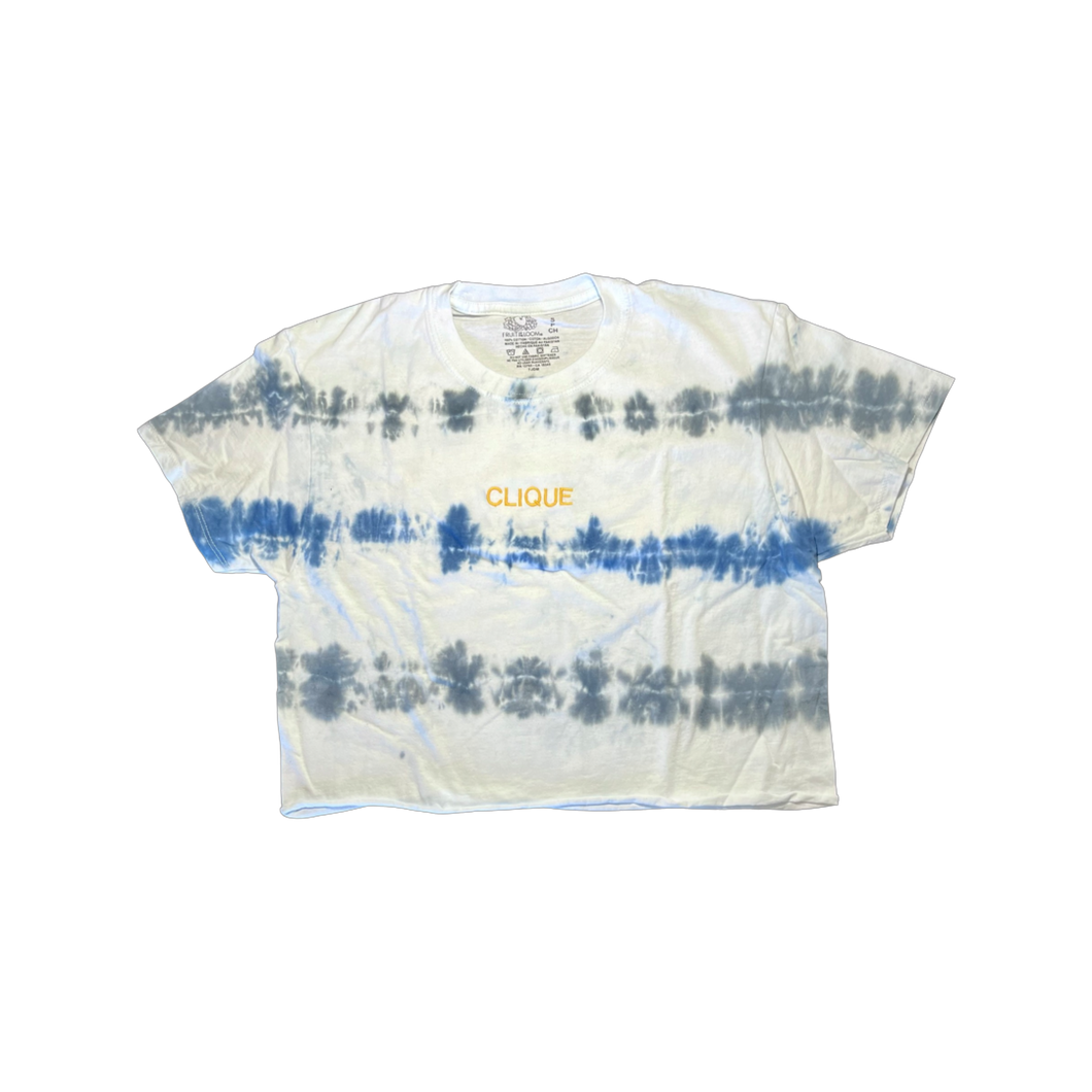 Tie Dye Worldwide Crop T-Shirt
